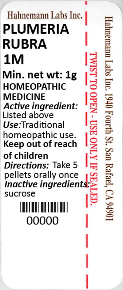 Plumeria Rubra 1M 1g - Plumeria Rubra 1M 1g